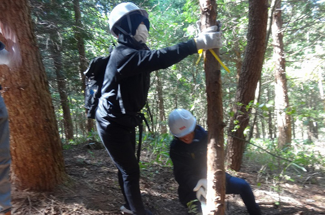 植樹した樹木周辺の雑草等の駆除