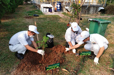 植樹活動