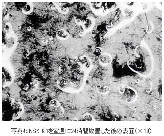 写真4:NSK K1を室温に24時間放置した後の表面(×10)