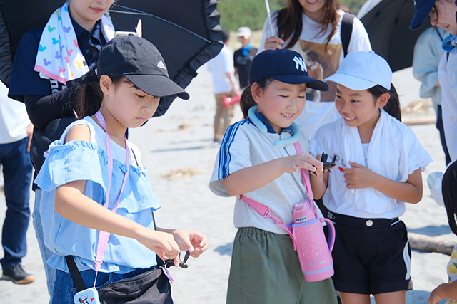 子ガメの観察と放流