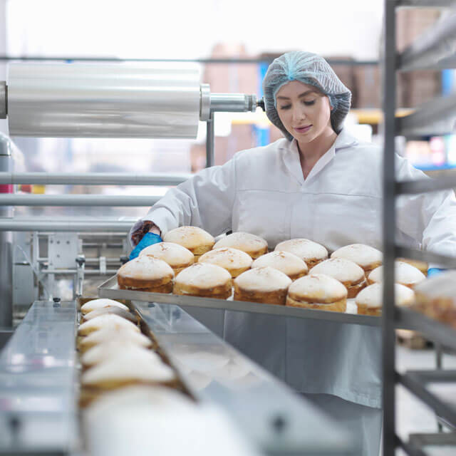 Food Processing Machinery