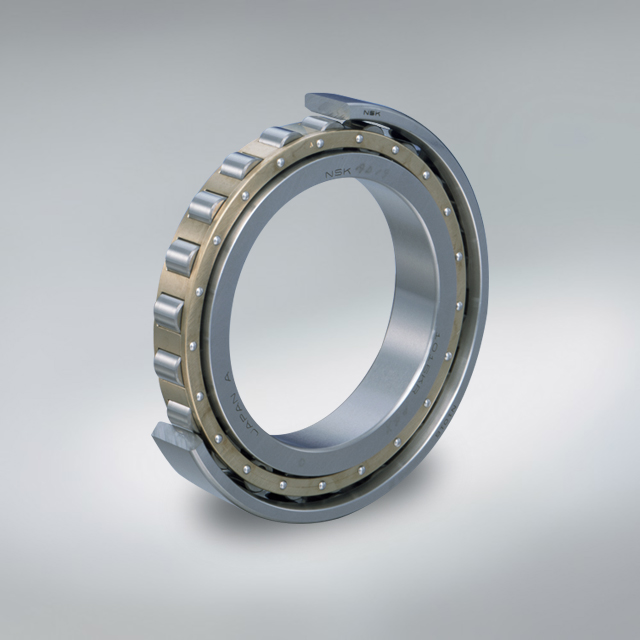 Standard Series Single-Row Cylindrical Roller Bearings